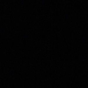 Meet your Posher, Leela